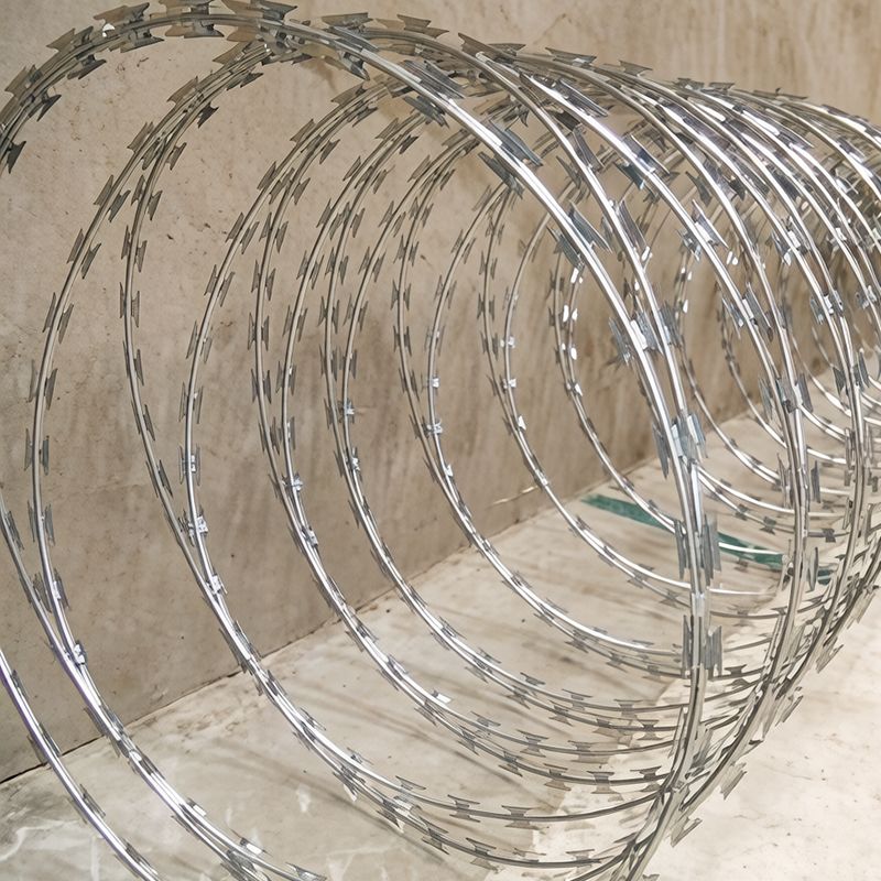 product-800-800